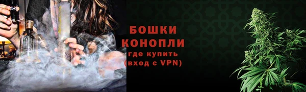 Альфа ПВП Горняк