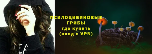 прущий лед Горно-Алтайск