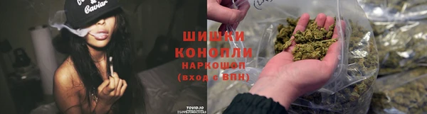 Альфа ПВП Горняк