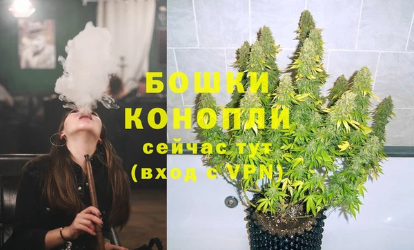 Альфа ПВП Горняк