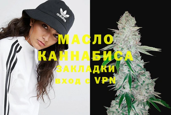 Альфа ПВП Горняк