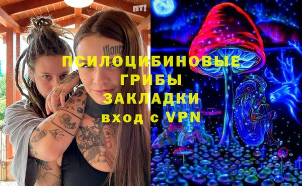 Альфа ПВП Горняк