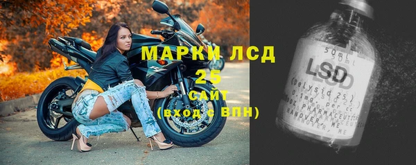 Альфа ПВП Горняк