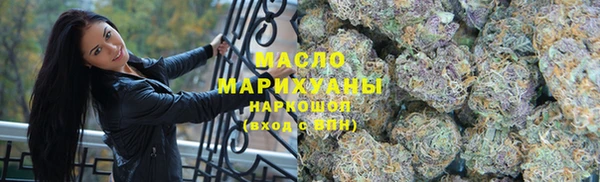 Альфа ПВП Горняк