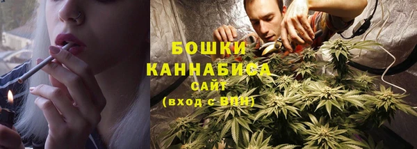 Альфа ПВП Горняк
