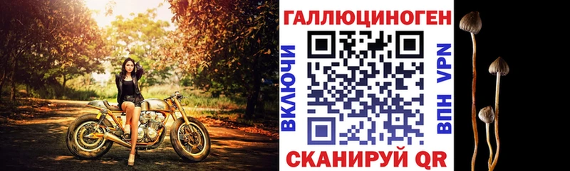 shop наркотические препараты  Мценск  MEGA рабочий сайт  Галлюциногенные грибы GOLDEN TEACHER  где продают наркотики 