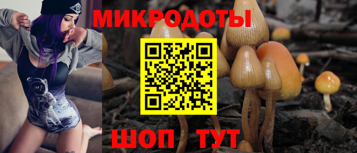 Псилоцибиновые грибы прущие грибы Мценск