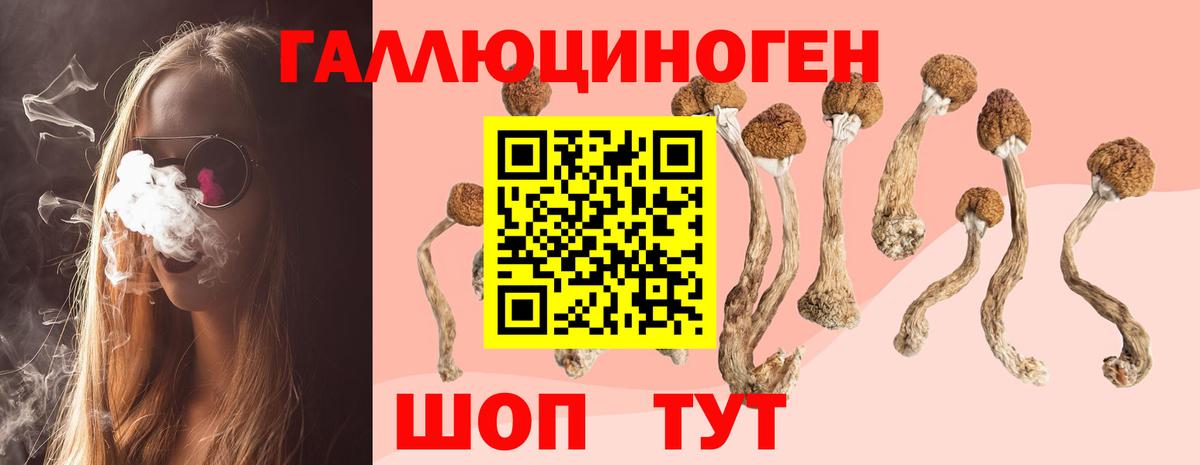 Псилоцибиновые грибы Magic Shrooms  Псилоцибиновые грибы мицелий  Мценск  Вход с VPN 